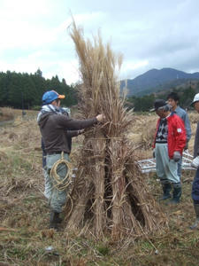 DSCF5123.jpg