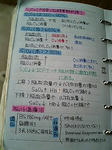 内頸