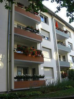 CIMG0645.JPG