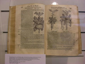 CIMG8571.JPG