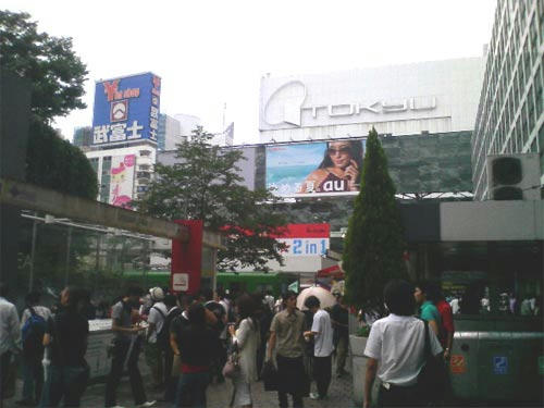 P1000187.jpg
