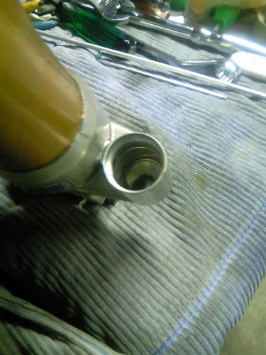 NEC_0108.jpg