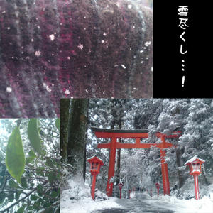 hakone8.jpg