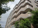 CIMG7523.JPG
