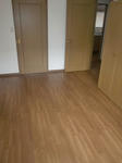 CIMG7560.JPG