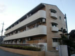 CIMG3671.JPG
