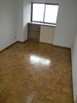 CIMG8787.JPG