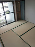 CIMG8802.JPG