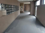 CIMG1282.JPG