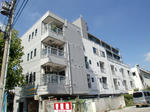 CIMG8487.JPG