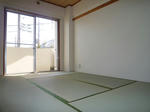 87070611_6o.jpg