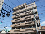 CIMG8460.JPG