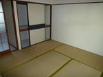 P1520006.JPG