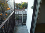 P1510655.JPG