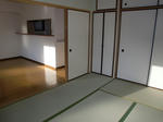 CIMG9819.JPG
