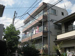 IMG_3212.JPG