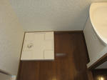 IMG_2800.JPG