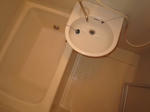 IMG_1879.JPG