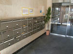 CIMG9617.JPG