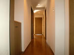 CIMG9676.JPG