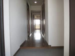 92687673_5o.jpg