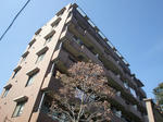 CIMG8717.JPG