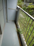 P1000420.JPG