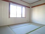 10446802_large.jpg