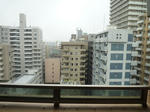 P1960070.JPG