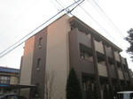 IMG_6295.JPG
