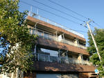 CIMG6809.JPG