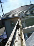 DSC00062_R.JPG