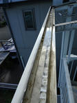DSC00064_R.JPG