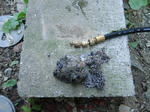DSC00315_R.JPG