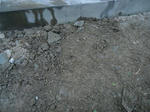 DSC00325_R.JPG
