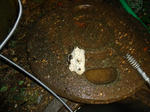 DSC00343_R.JPG