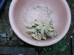 DSC00395_R.JPG
