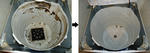 DSC00485_R.JPG