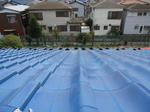 DSC00694_R.JPG