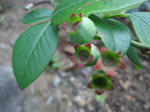 DSC00843_R.JPG