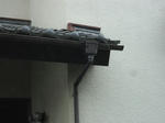 DSC00853_R.JPG
