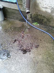 20120609_150919_R.jpg