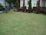 DSC00855_R.JPG