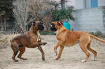 ａａ