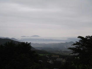4200661.jpg
