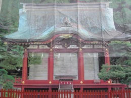 5132249.jpg
