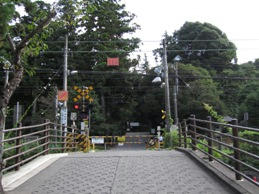 5142255.jpg