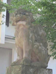 IMG_5090.JPG