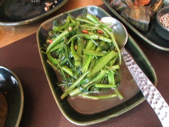 IMG_1021.JPG
