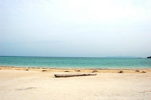 DSC_0133.JPG